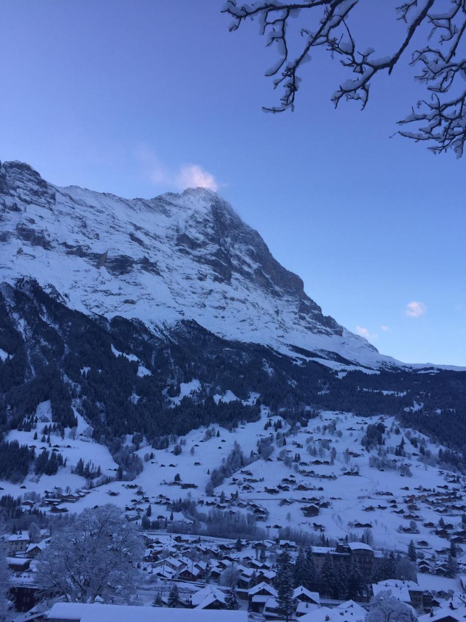 Chalet Gruenegg Grindelwald Exterior photo